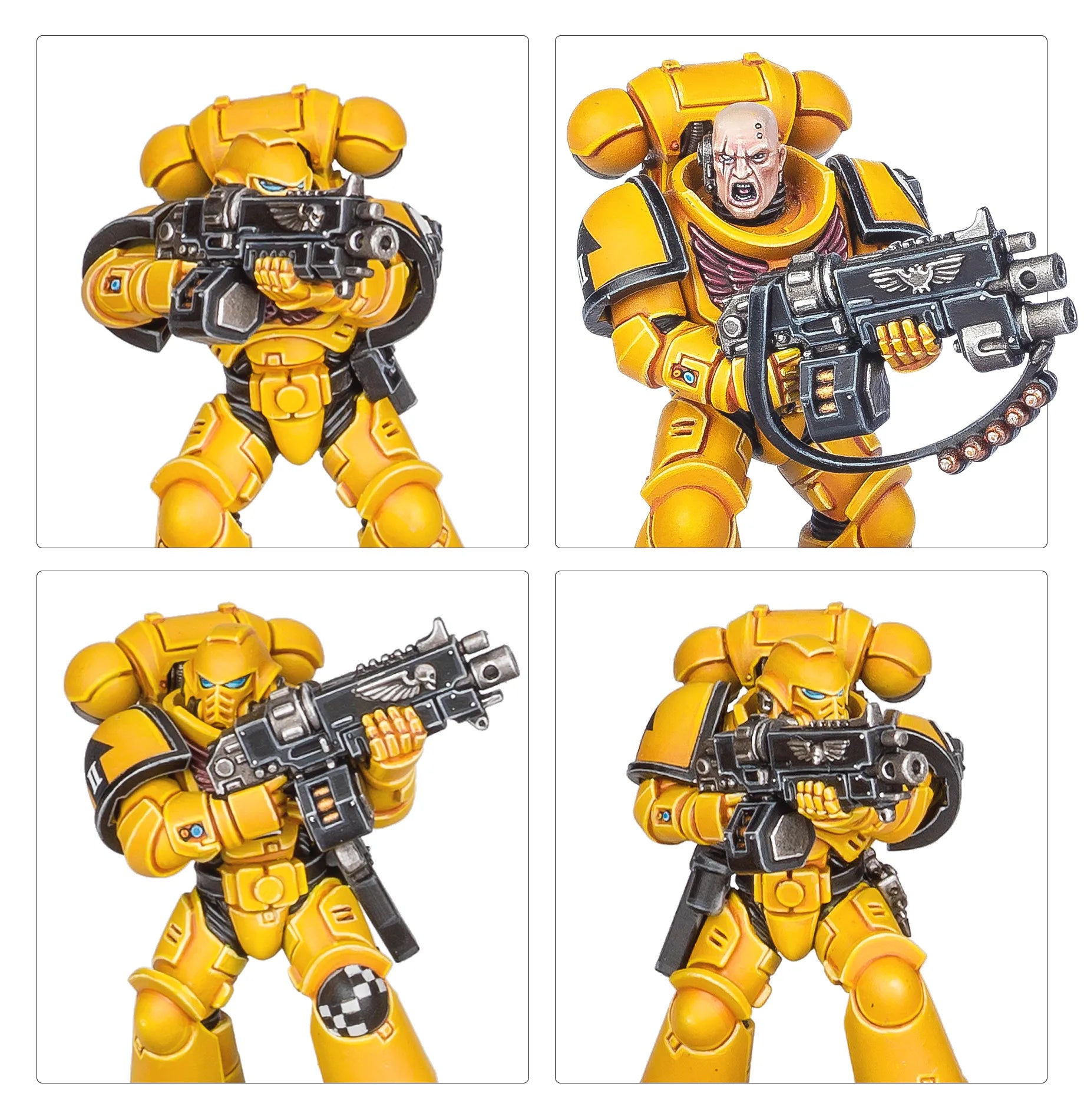 Patrouille: Imperial Fists