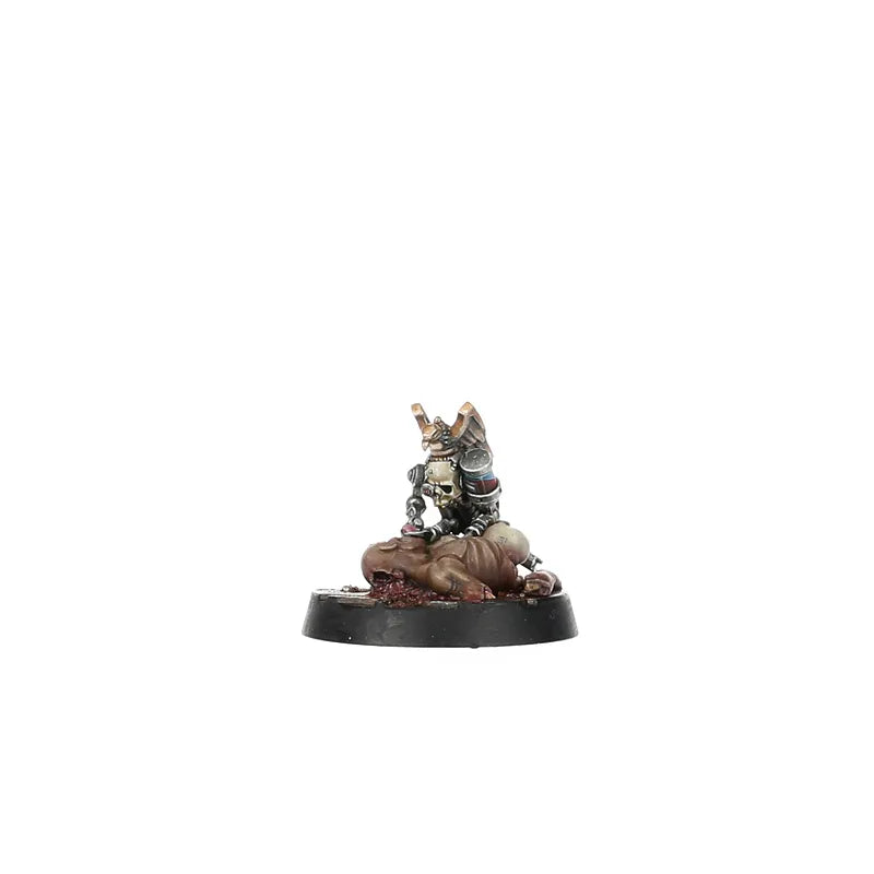 Mercator Pallidus Corpse Harvesting Party