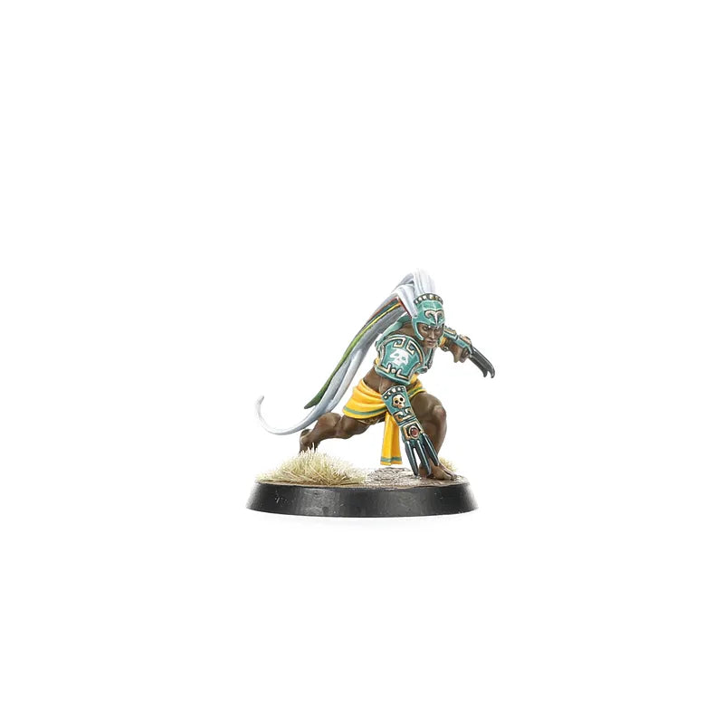 Équipe d'Amazones pour Blood Bowl : Kara Temple Harpies