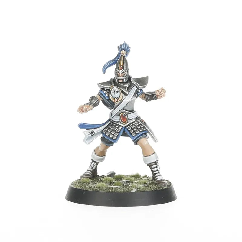 Équipe Blood Bowl de Hauts Elfes: Les Caledor Dragons
