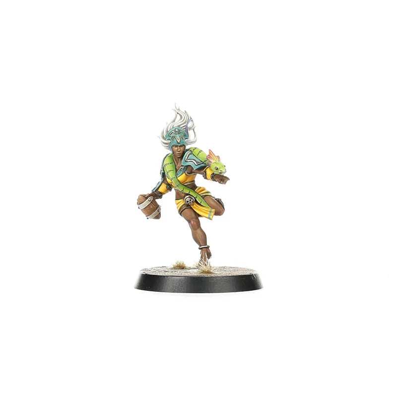 Équipe d'Amazones pour Blood Bowl : Kara Temple Harpies