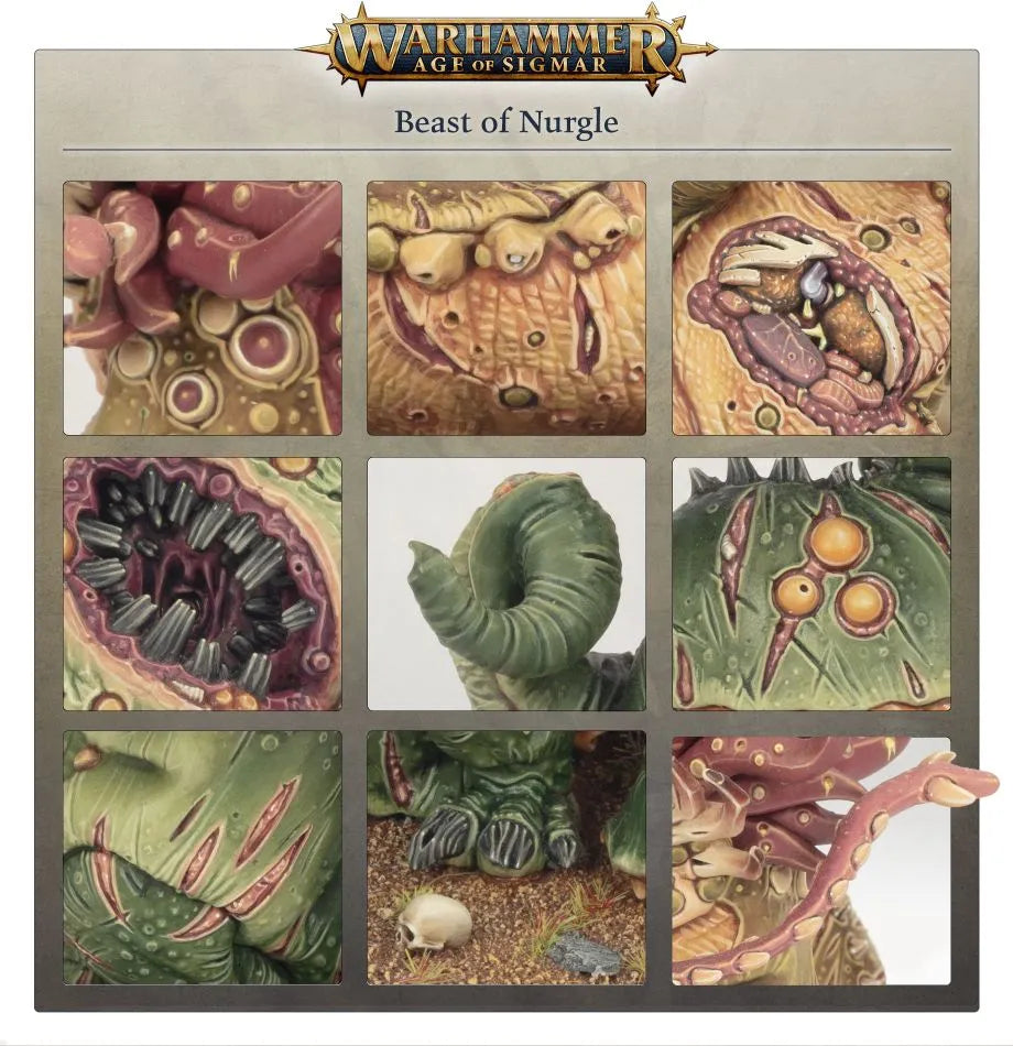 Bête de Nurgle