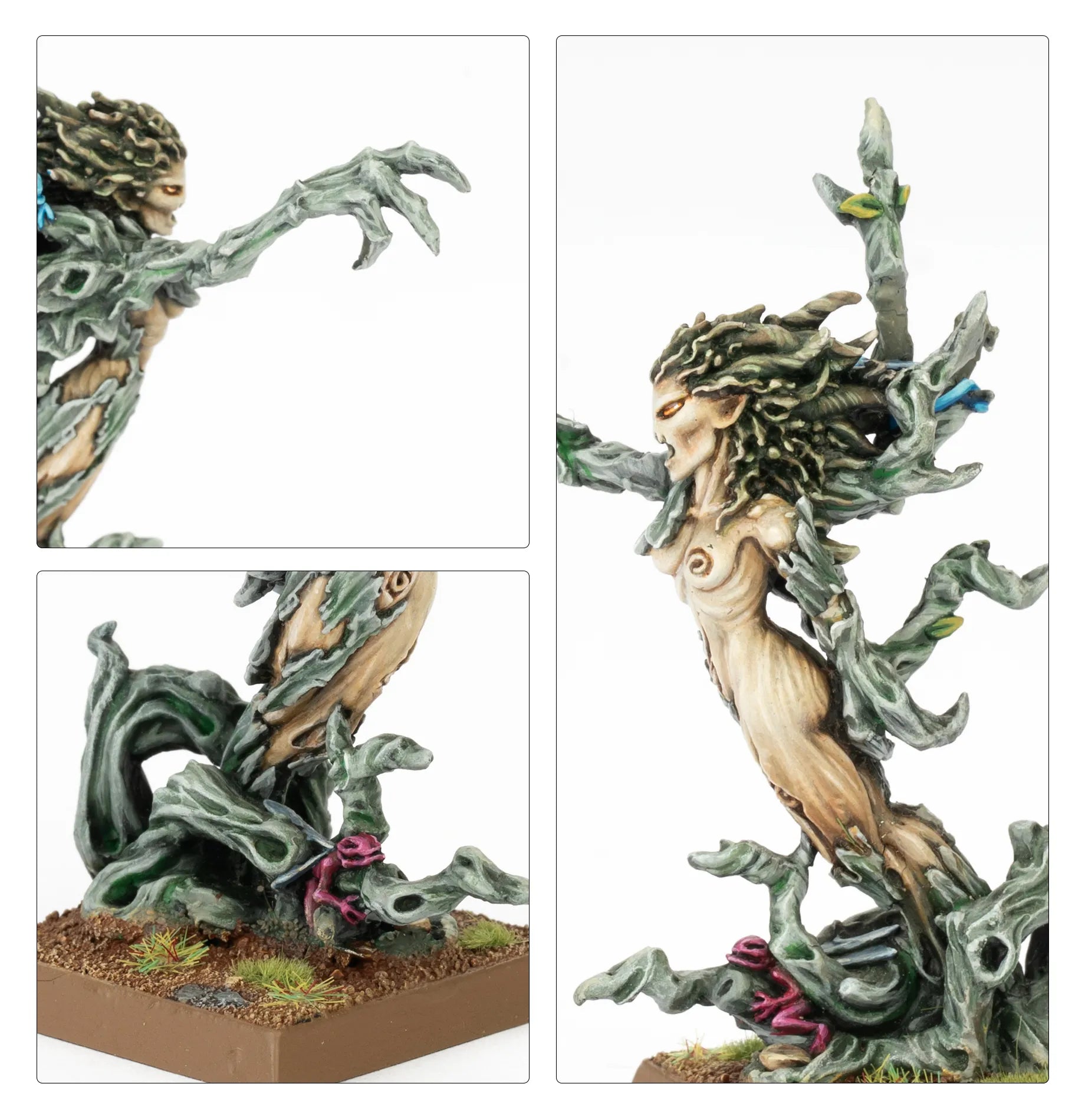 Branchimère