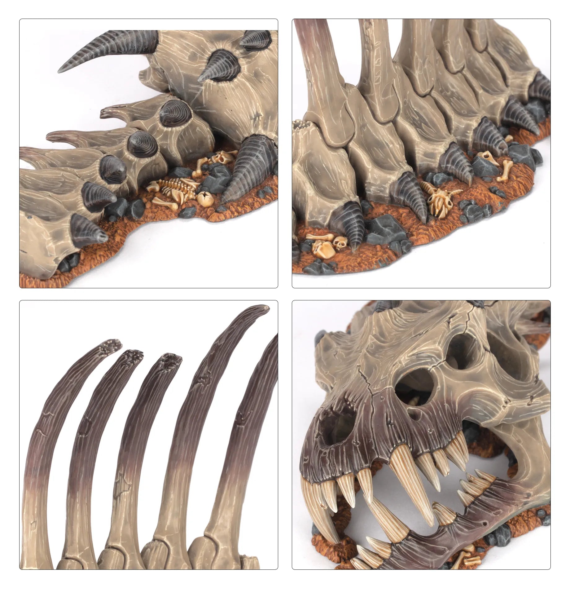 Carcasse de Mégadroth