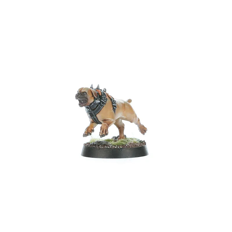 Fer de Lance: Cités de Sigmar – Peloton Fusilier