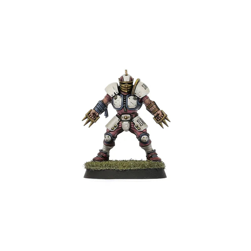 Équipe de Blood Bowl de l'Alliance du Vieux Monde – Middenheim Maulers