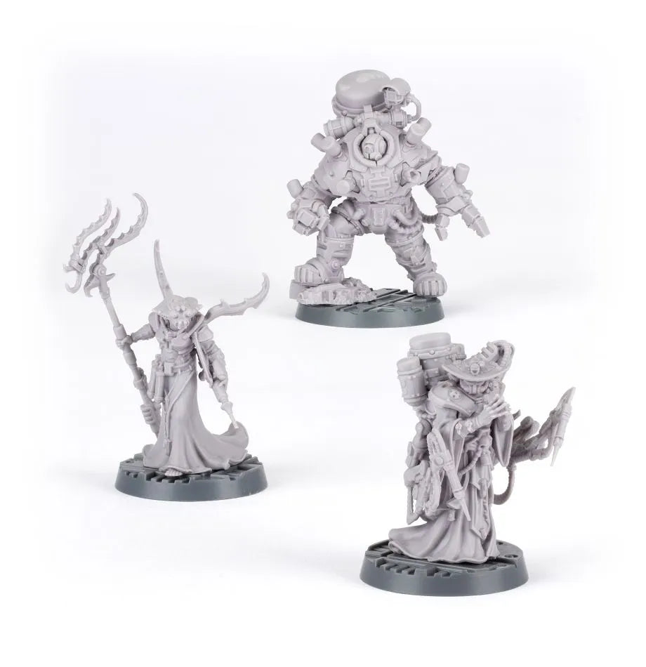 Mercator Nautica Syphoning Delegation