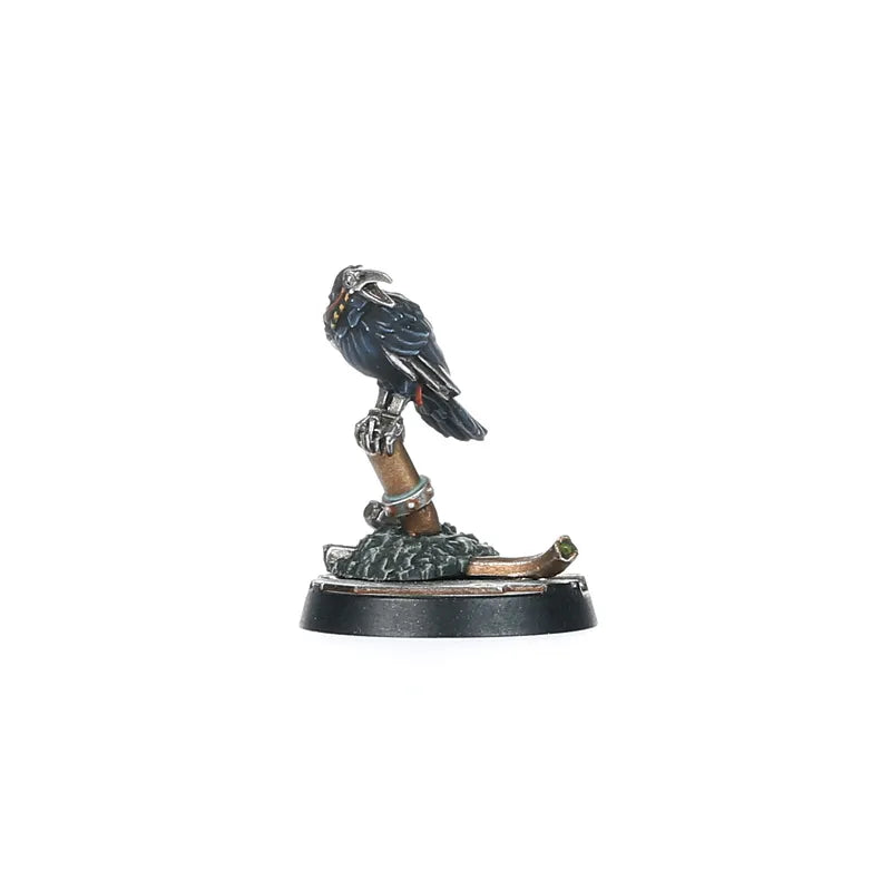 Cawdor Sheen Birds