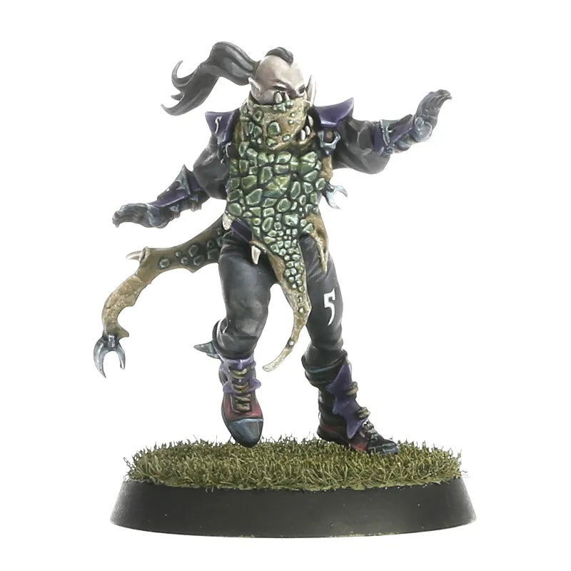 Équipe de Blood Bowl d'Elfes Noirs: Naggaroth Nightmares