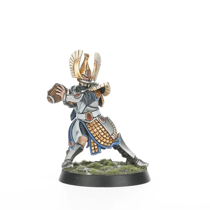 Équipe Blood Bowl de Hauts Elfes: Les Caledor Dragons