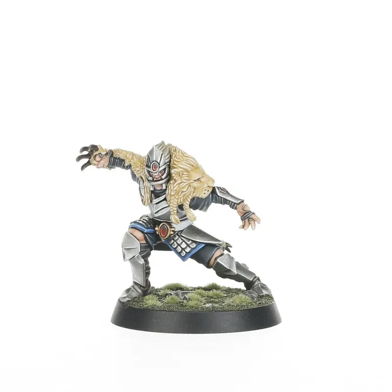 Équipe Blood Bowl de Hauts Elfes: Les Caledor Dragons
