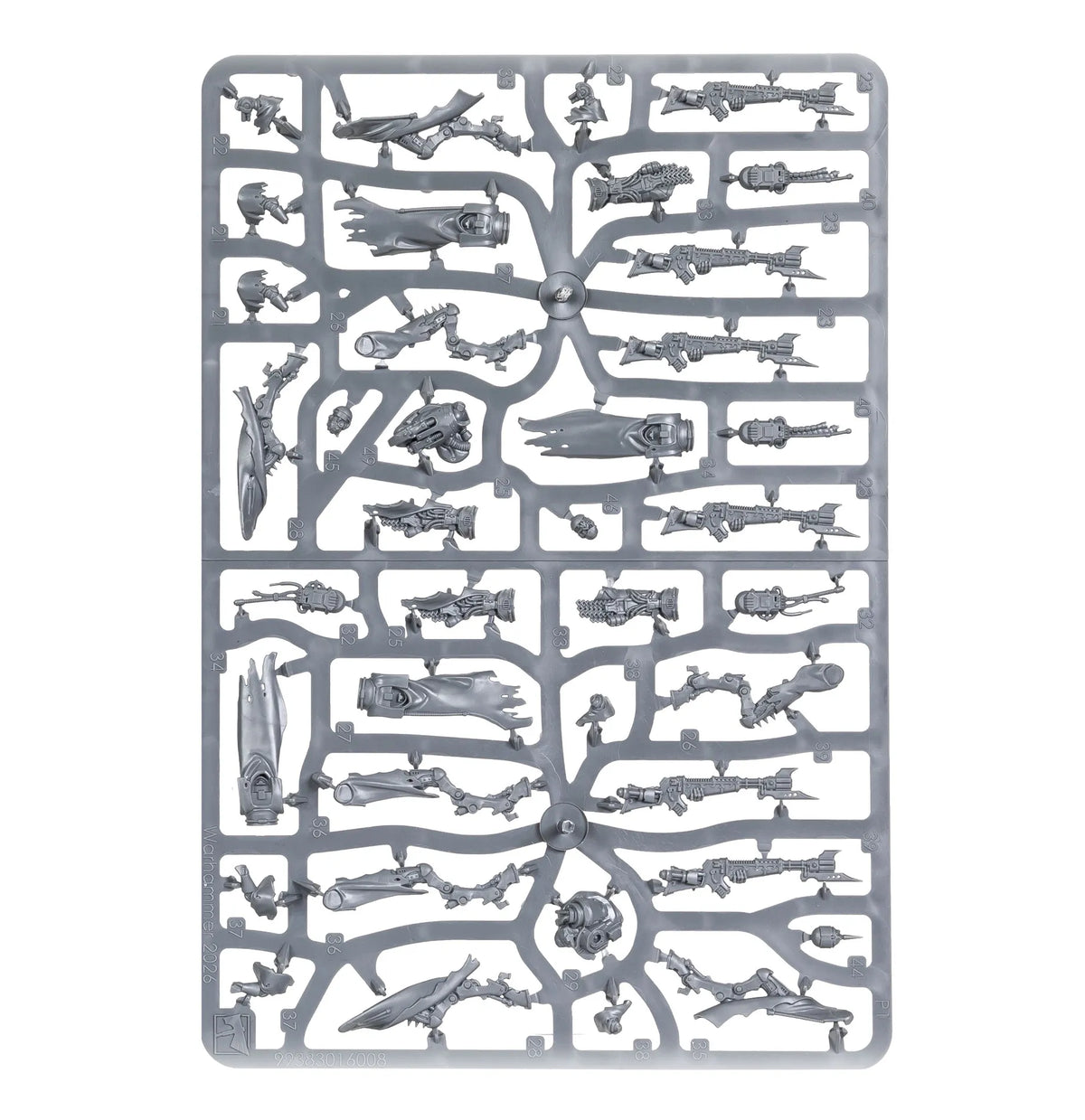 Corpus de Pérégrins de Combat Skitarii