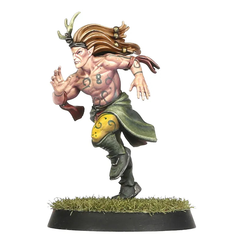 Équipe de Blood Bowl d'Elfes Sylvains: Athelorn Avengers