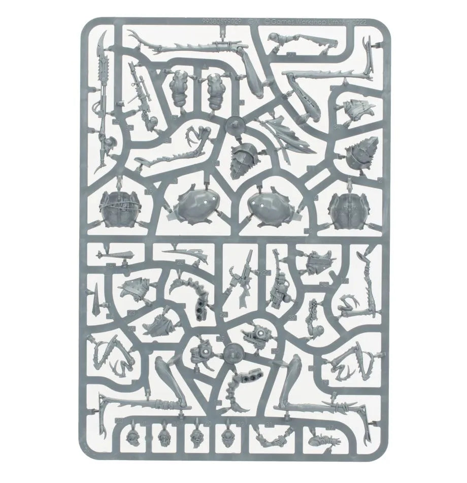 Ash Waste Nomads Dustback Helamites
