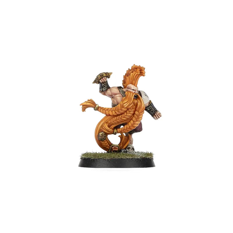 Équipe de Blood Bowl de l'Alliance du Vieux Monde – Middenheim Maulers