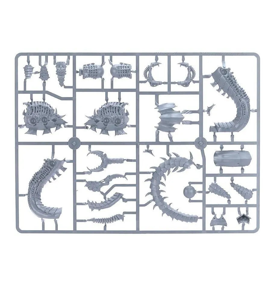 Trygon Tyranide