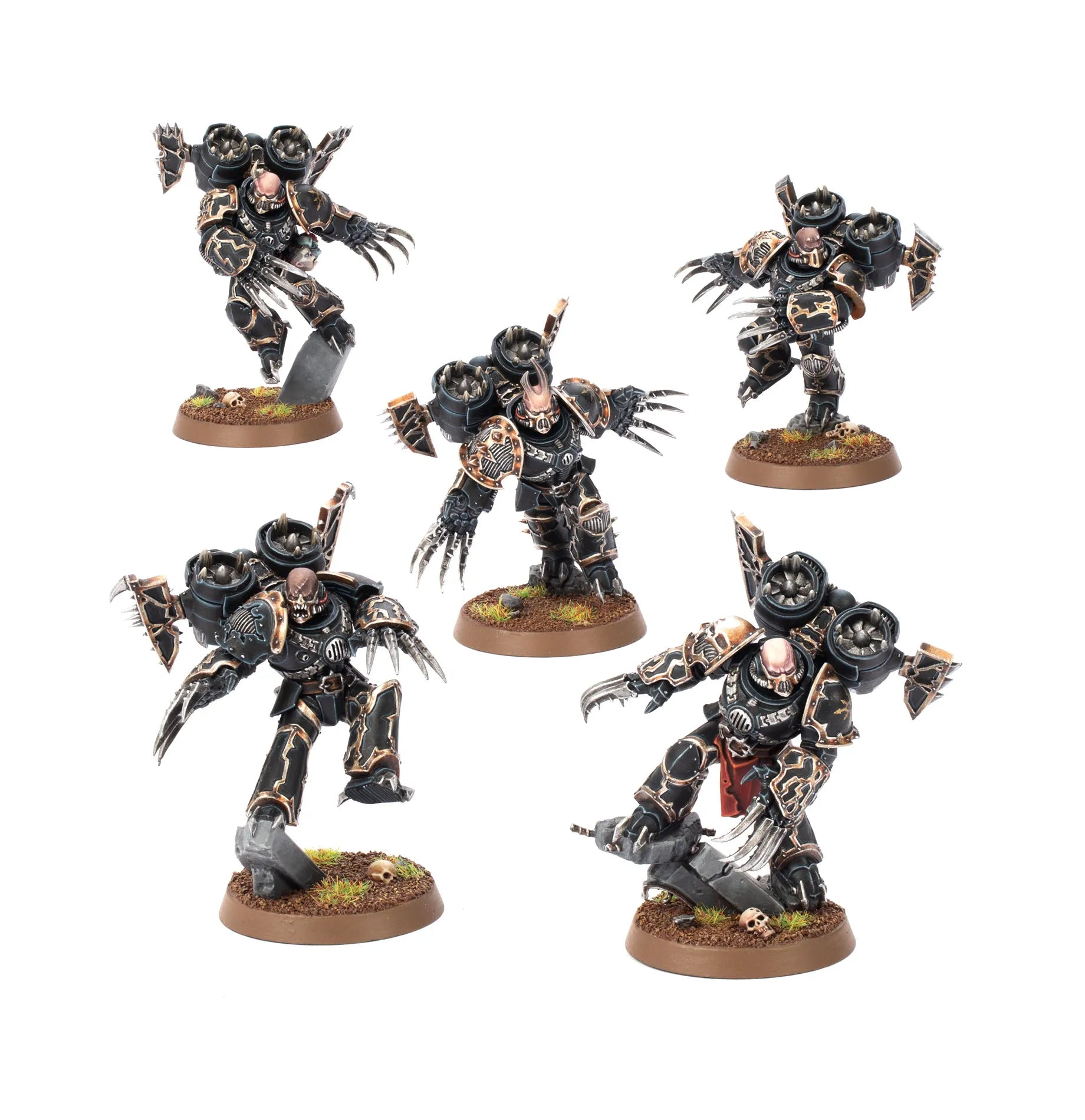 Rapaces / Serres du Warp