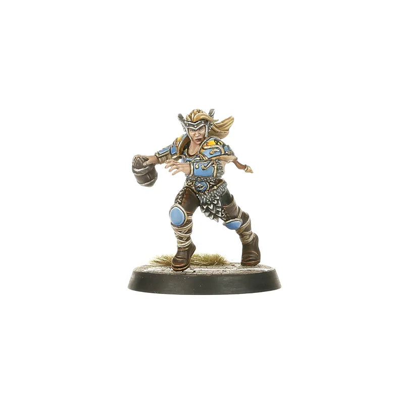 Équipe de Blood Bowl de Nordiques: Norsca Rampagers