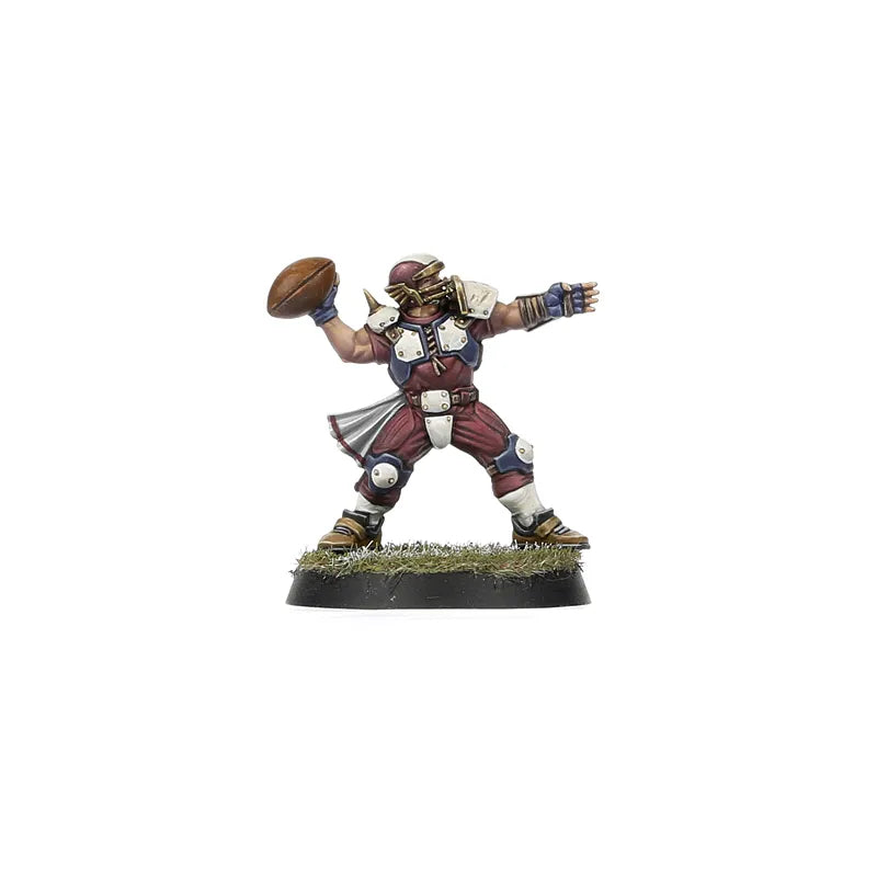Équipe de Blood Bowl de l'Alliance du Vieux Monde – Middenheim Maulers