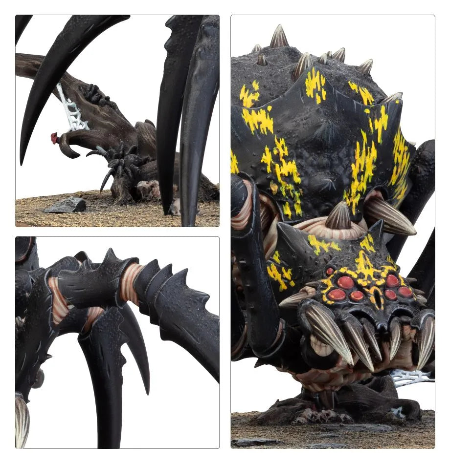 Arachnarok avec Tribu Guerrière Crodaragne