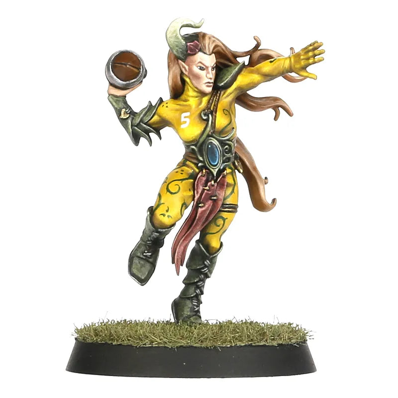 Équipe de Blood Bowl d'Elfes Sylvains: Athelorn Avengers