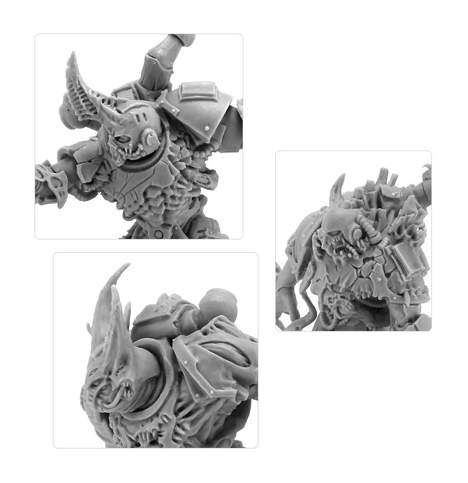 Gal Vorbak