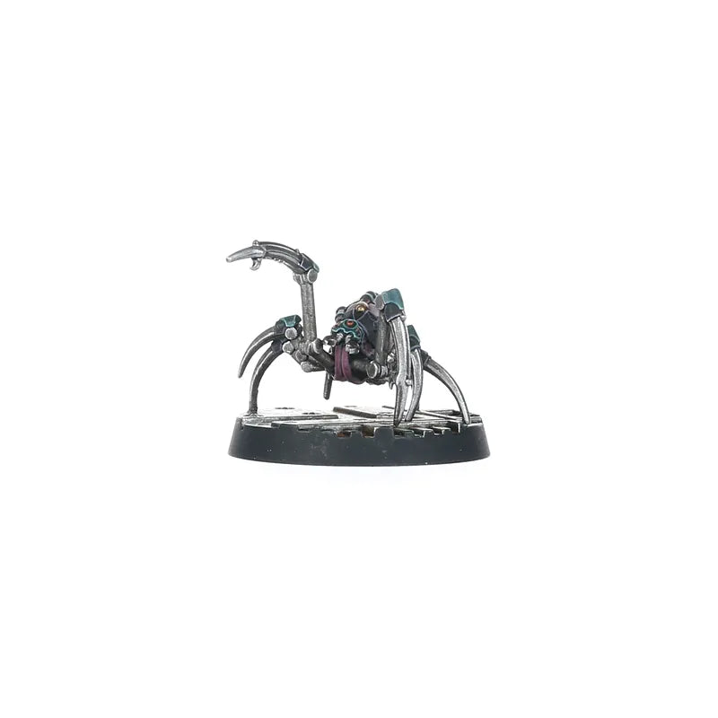 Van Saar Champion in Carapace Armour with Cyberachnids