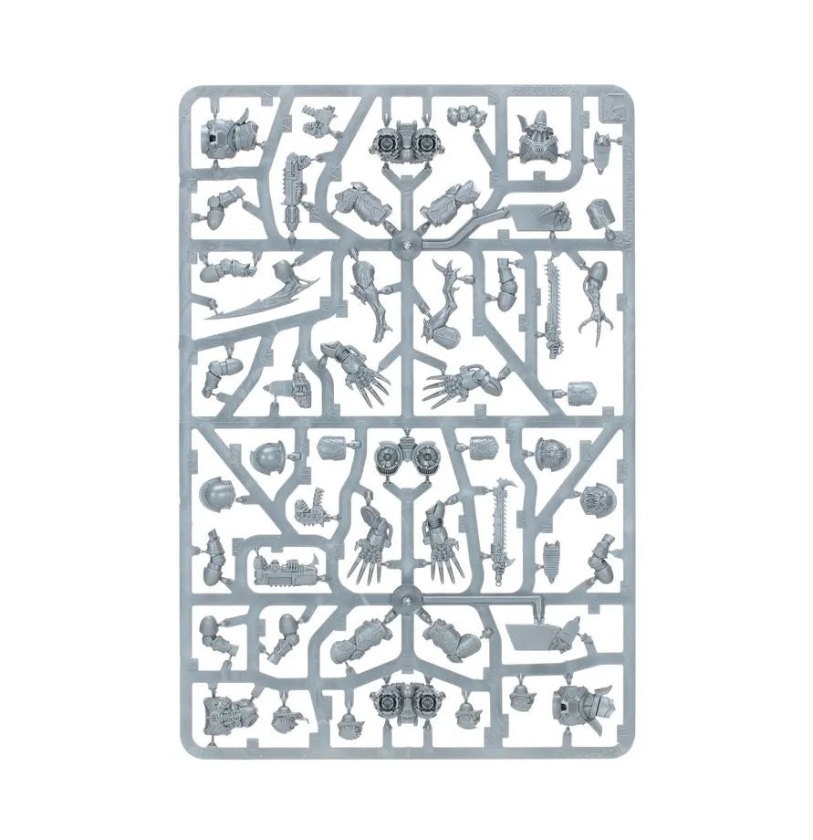 Rapaces / Serres du Warp