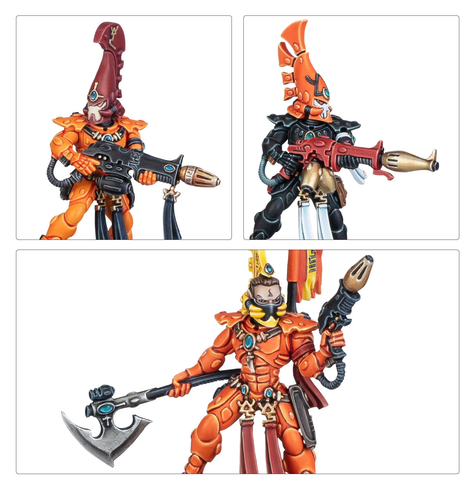 Dragons Flamboyants