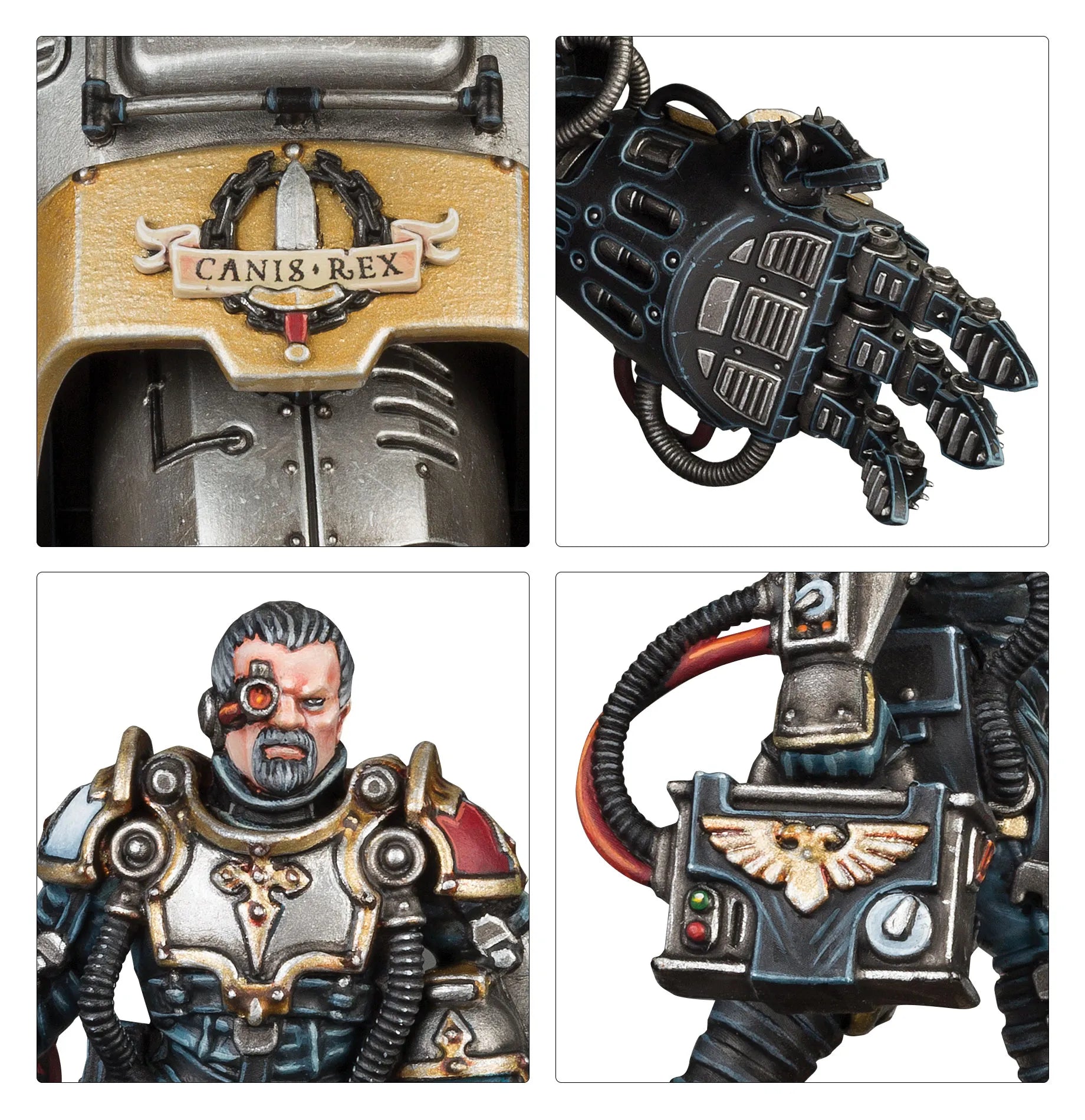 Chevalier Précepteur/Canis Rex