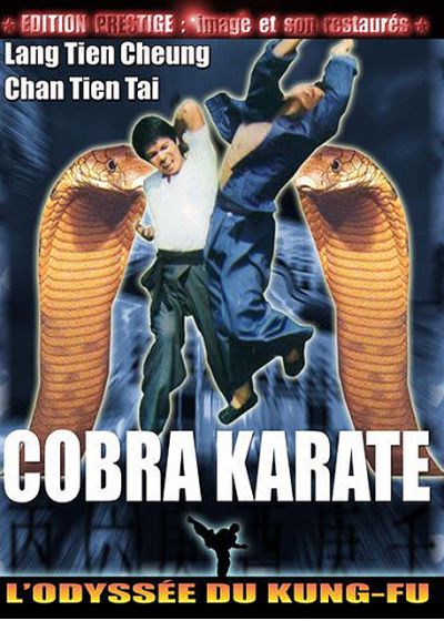 Cobra Karaté [DVD]