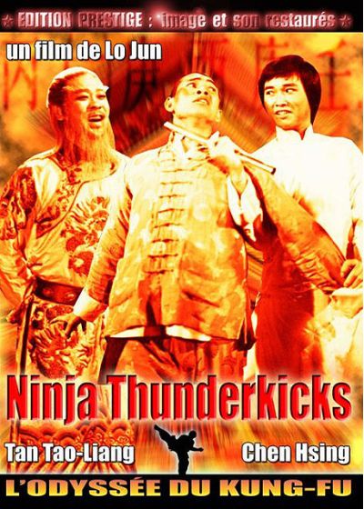 Ninjas Thunderkicks [DVD]