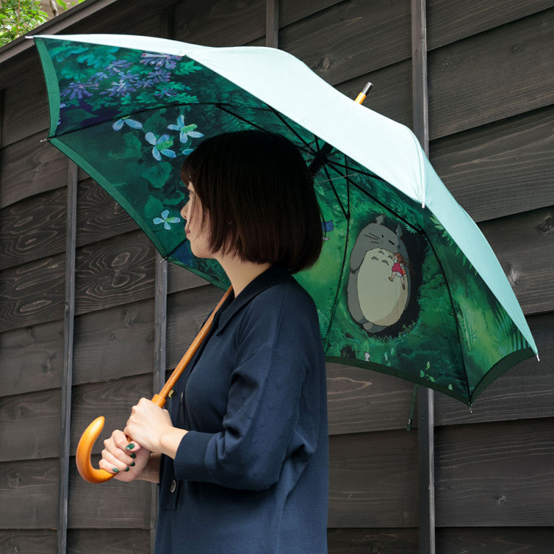 PARAPLUIE RENCONTRE MYSTÉRIEUSE - MON VOISIN TOTORO
