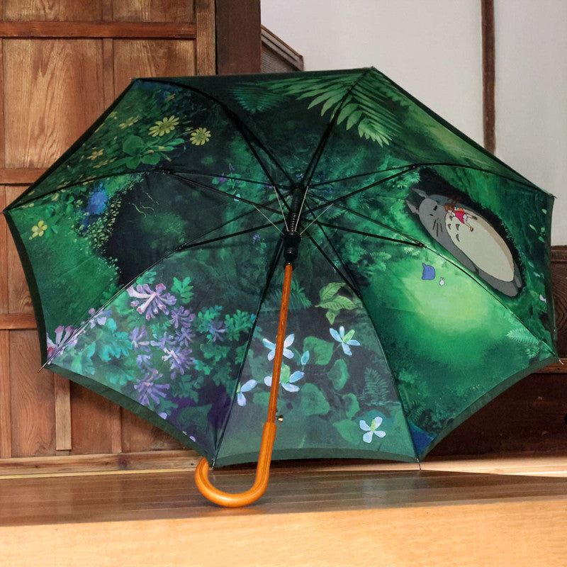 PARAPLUIE RENCONTRE MYSTÉRIEUSE - MON VOISIN TOTORO