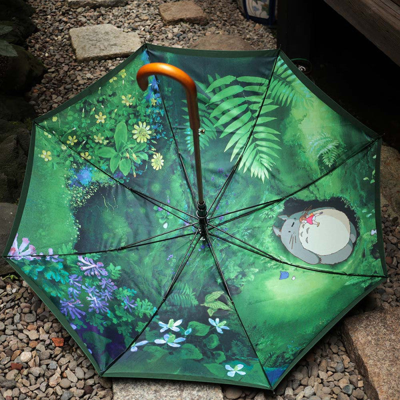 PARAPLUIE RENCONTRE MYSTÉRIEUSE - MON VOISIN TOTORO