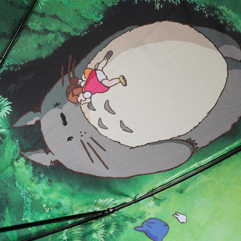 PARAPLUIE RENCONTRE MYSTÉRIEUSE - MON VOISIN TOTORO