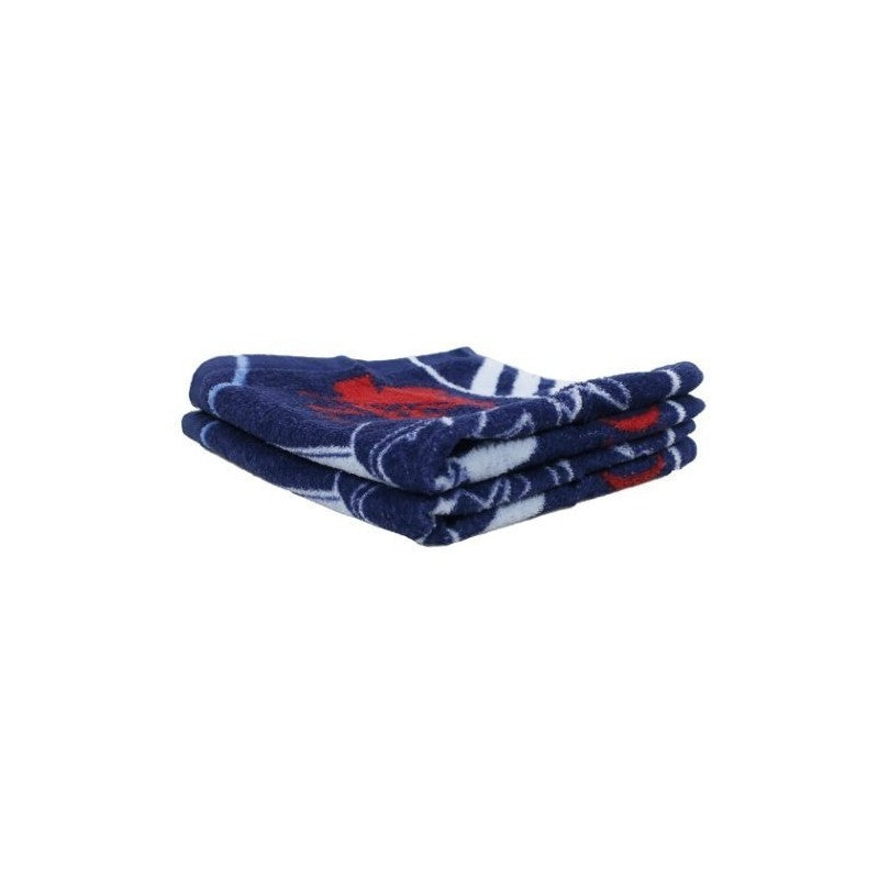 SERVIETTE 2PCS EVANGELION 1 34X35 CM - EVANGELION