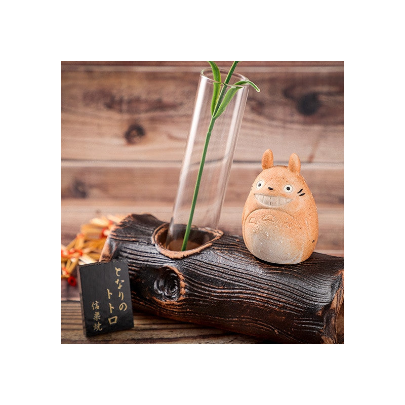 SOLIFLORE TOTORO SHIGARAKI - MON VOISIN TOTORO