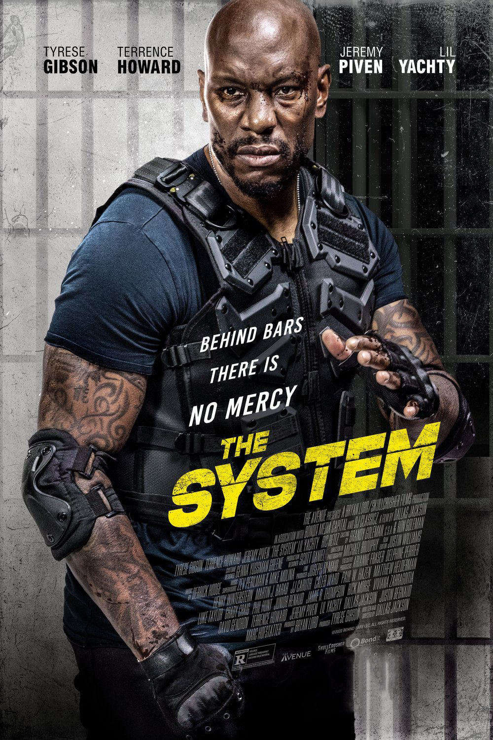 The System |DVD à la location]