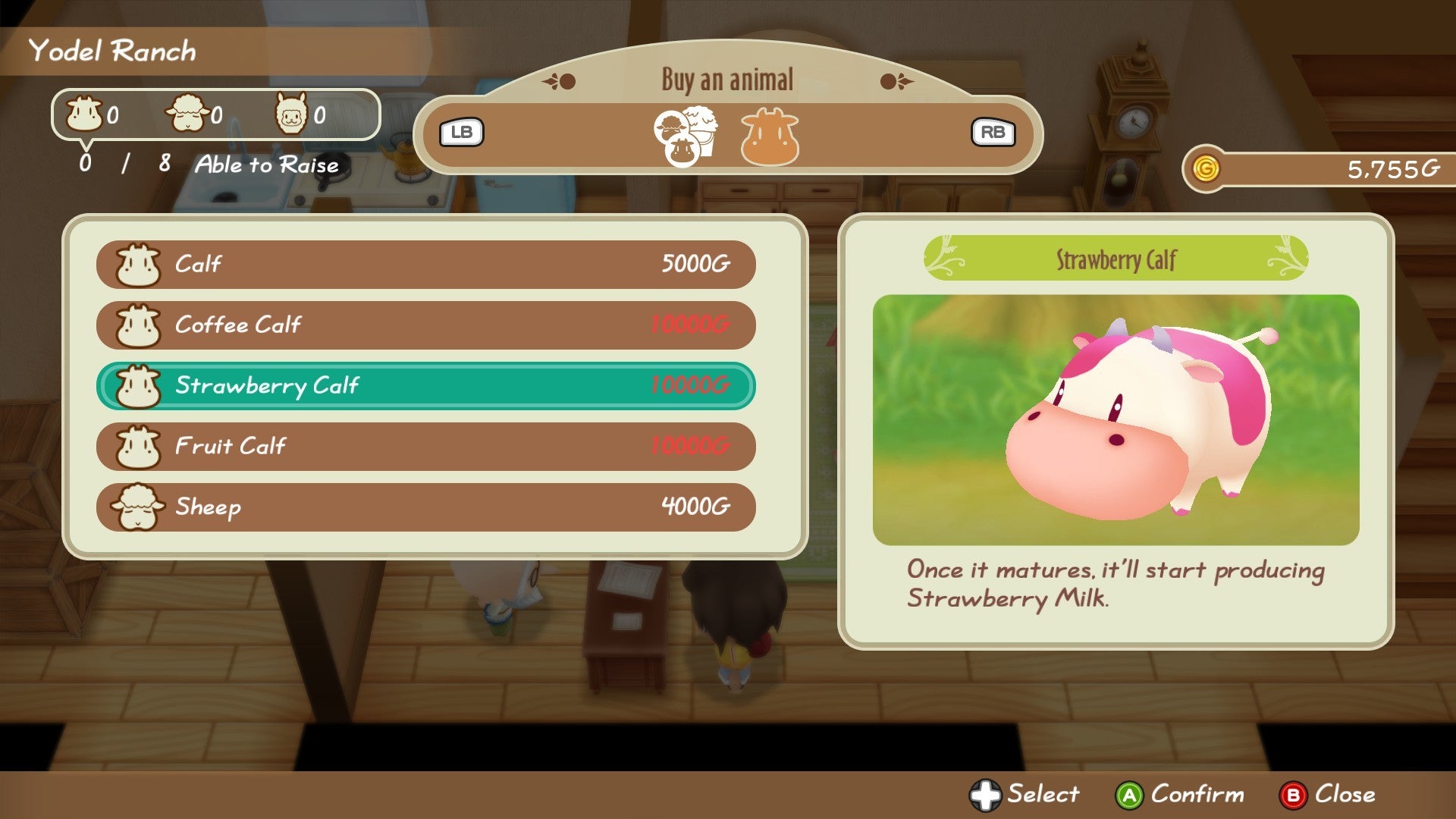 Story of Seasons: Friends of Mineral Town - flash vidéo