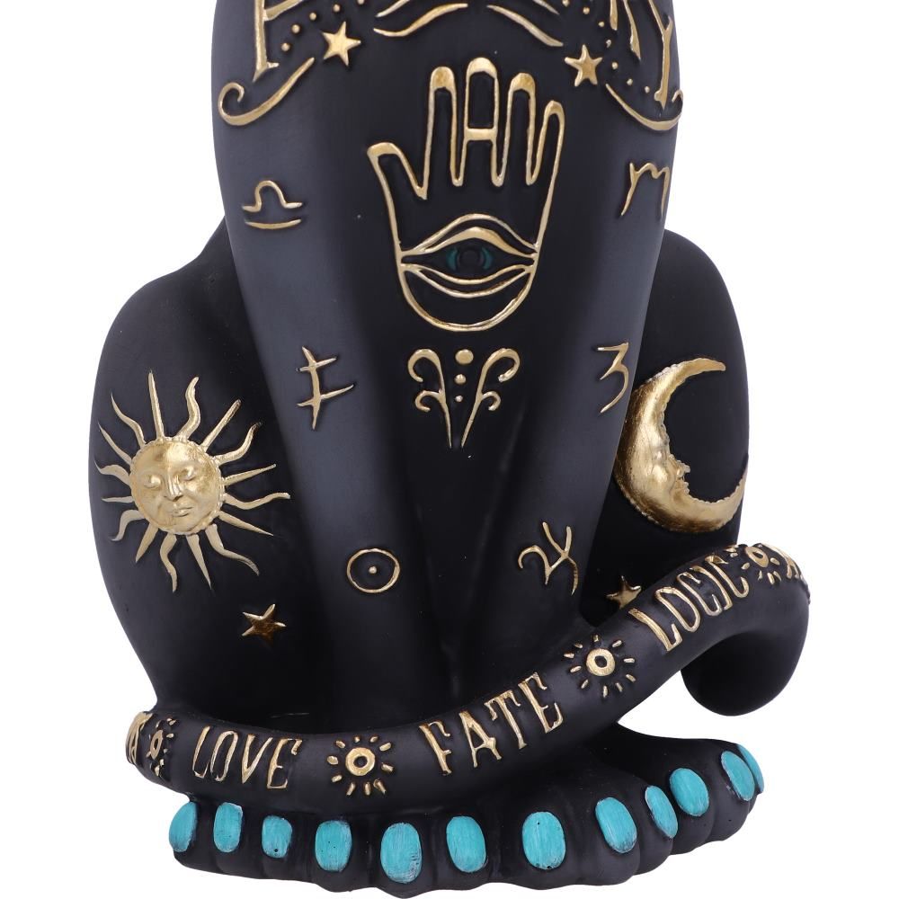 Fortune Minou Figurine 27cm - flash vidéo