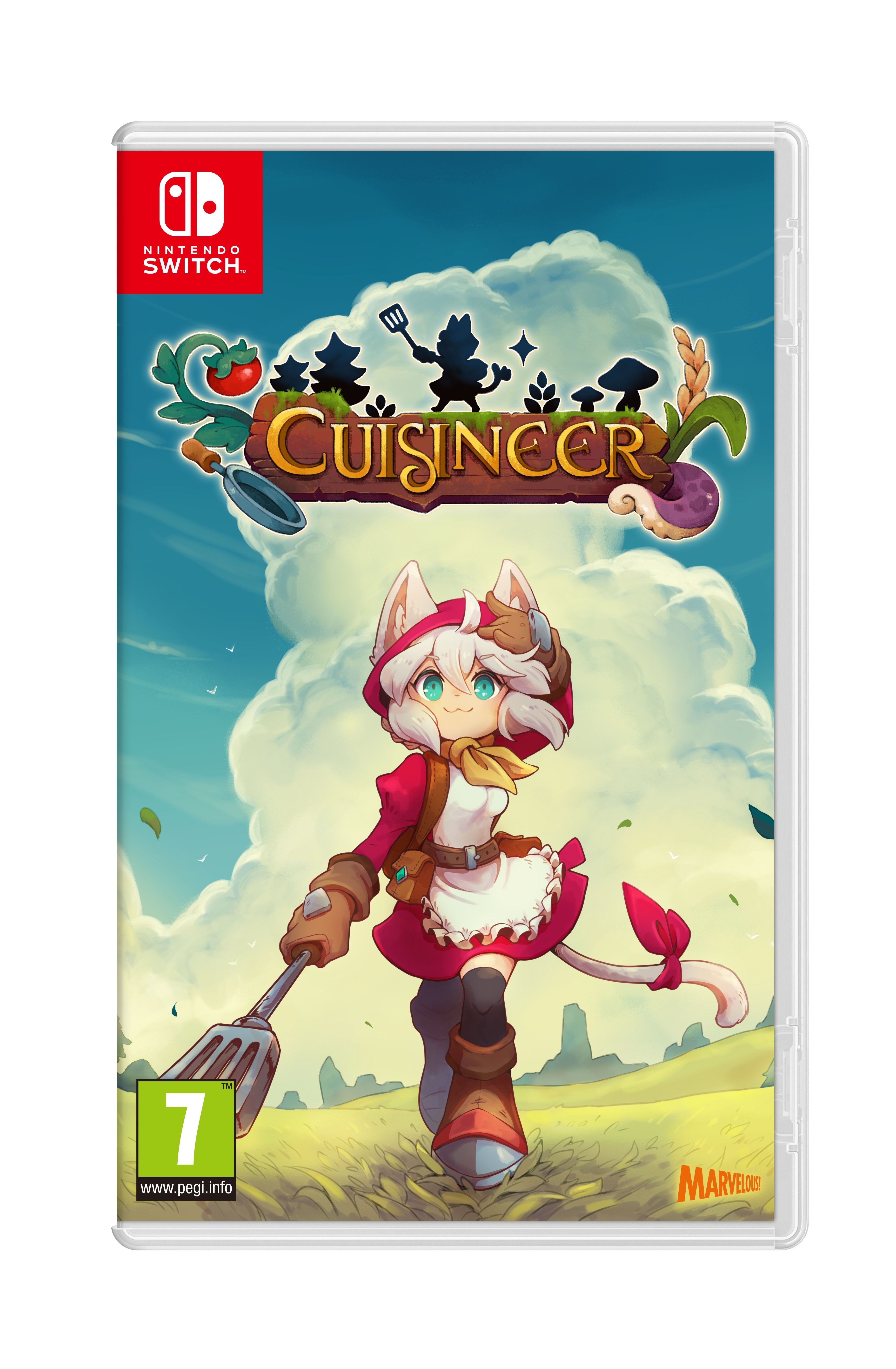 Cuisineer - flash vidéo