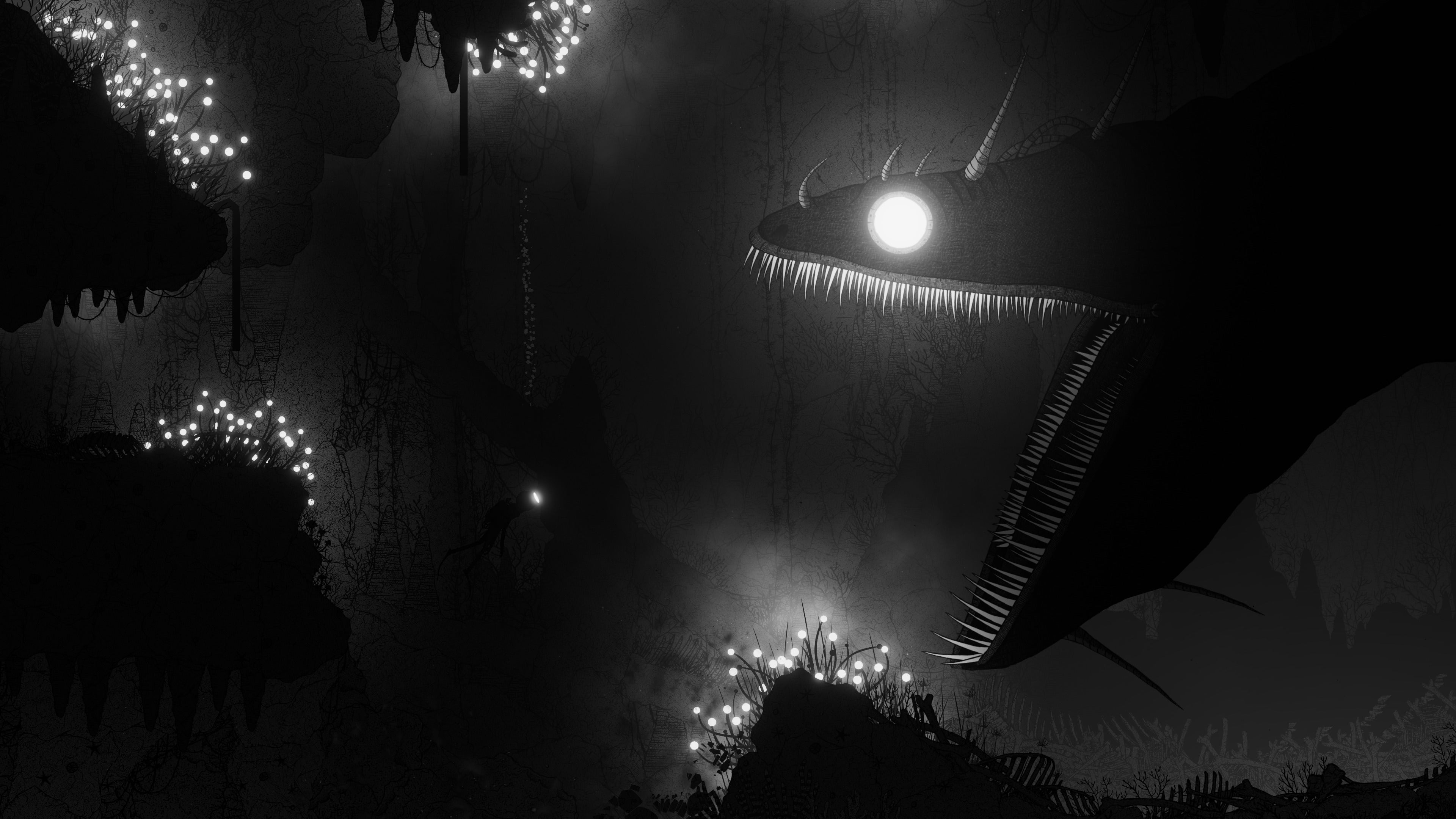 Silt - flash vidéo