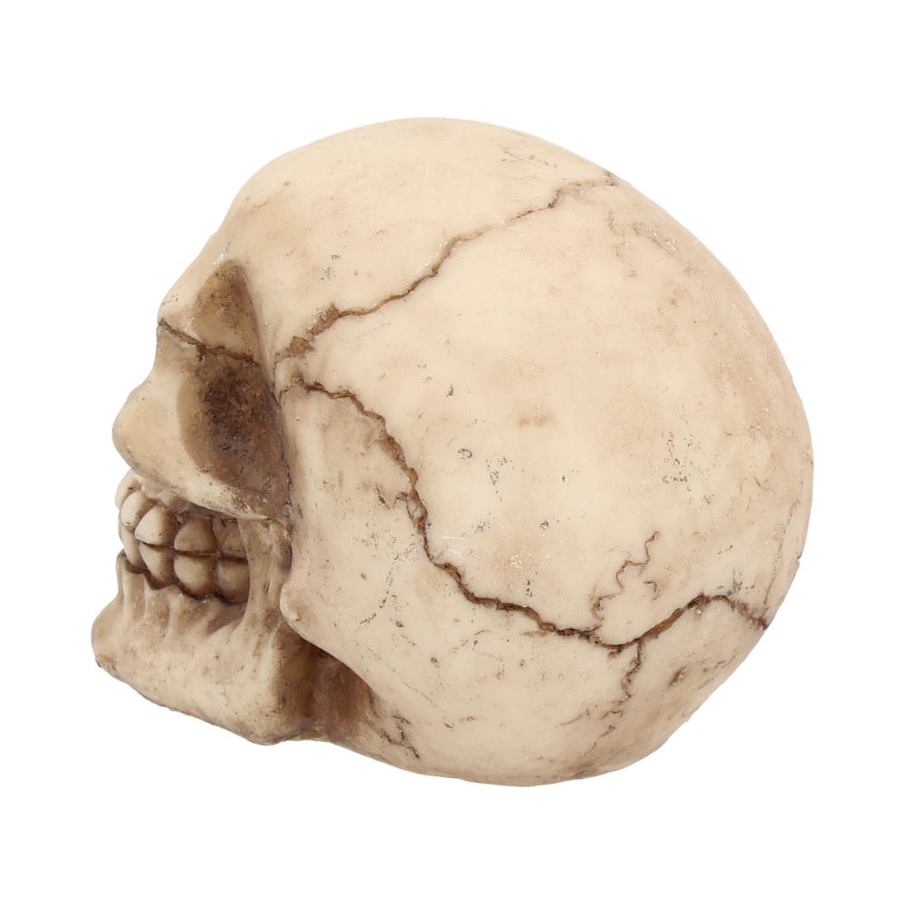 Joker Skull 12cm - flash vidéo