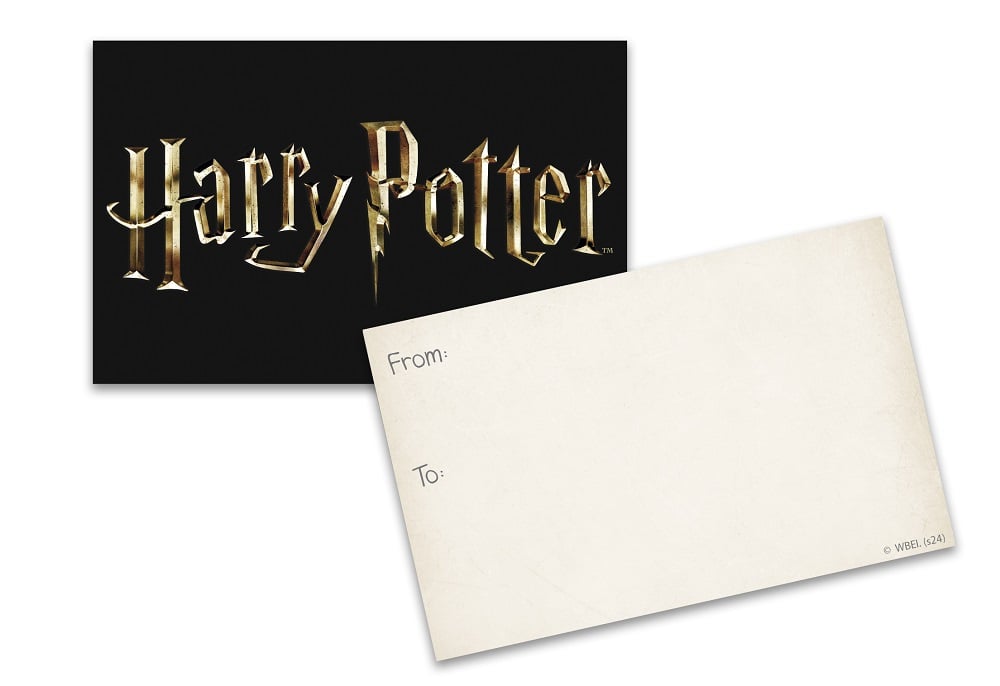 Harry Potter - Sac à dos Hedwig - flash vidéo