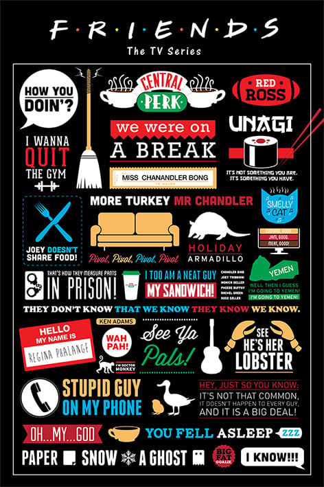 Friends - Infographie Maxi Poster - flash vidéo