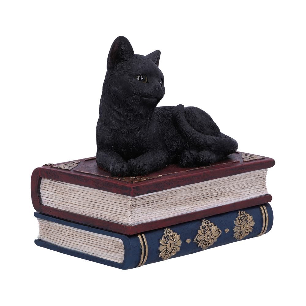Figurine de collection Salem et boîte à sortilèges 11.7cm - flash vidéo