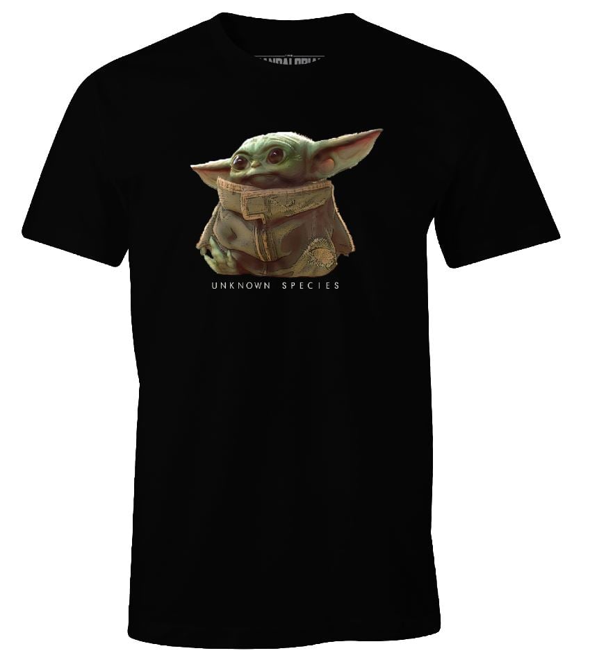The Mandalorian - T-shirt Noir Long Hommes Logo The Child - L - flash vidéo