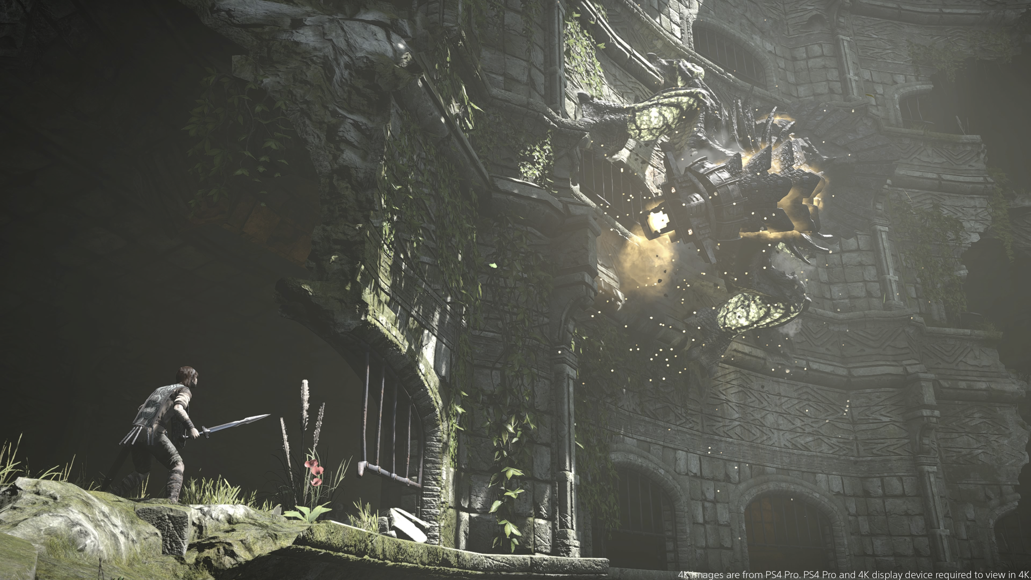 Shadow of the Colossus - flash vidéo
