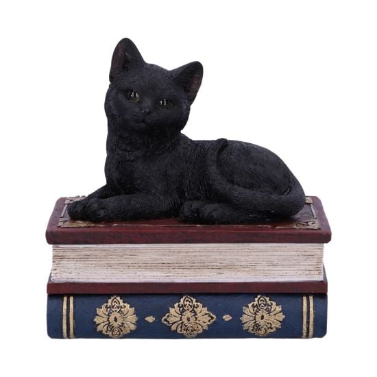 Figurine de collection Salem et boîte à sortilèges 11.7cm - flash vidéo